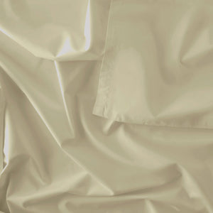 Hazelnut-product_image