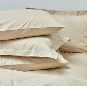 Hazelnut-product_image