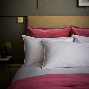 Fuchsia-product_image